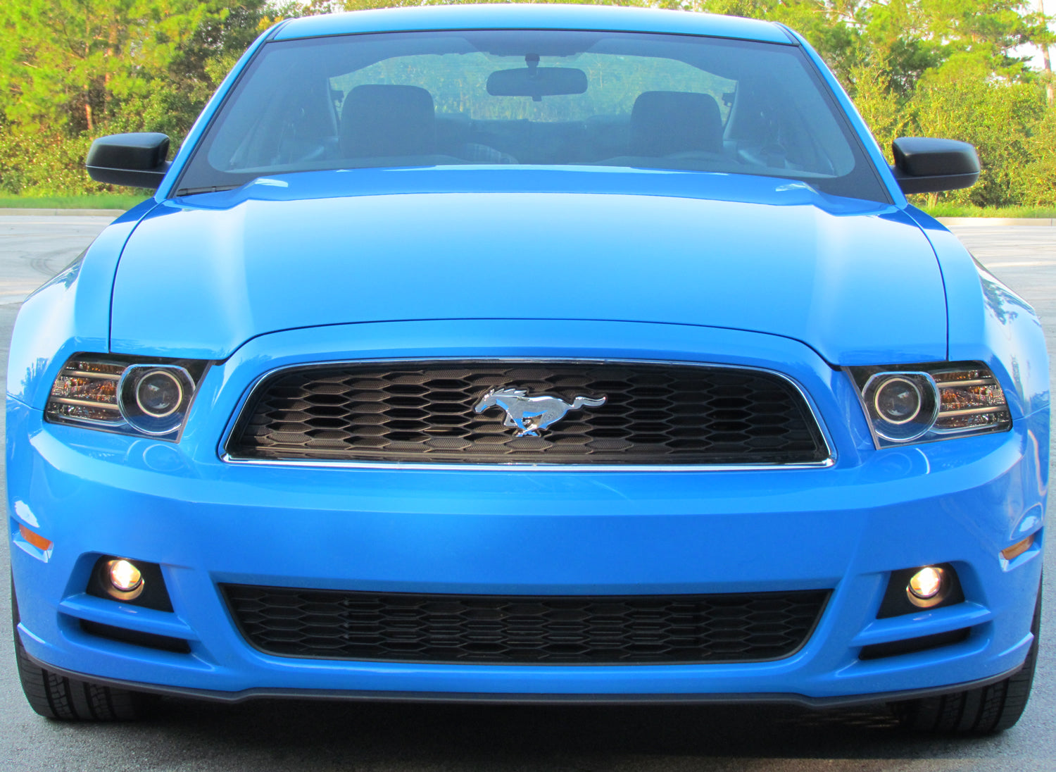 front blue mustang with fog light adapter