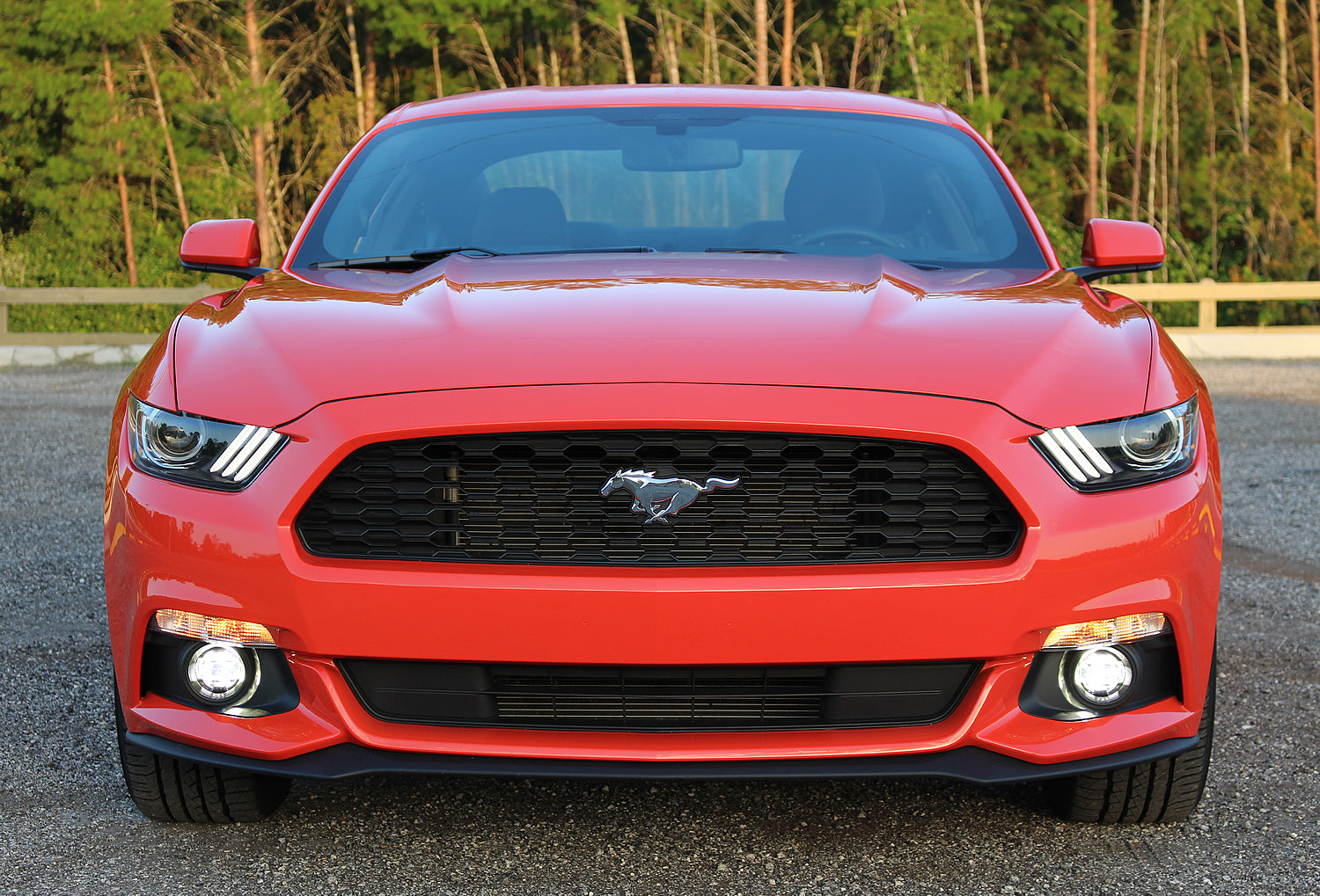 Mustang OEM Style Fog Light Kit - Fits V6 (2015-2017)